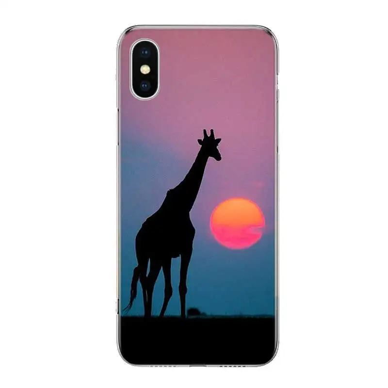 Забавный силиконовый чехол для Apple iPhone 6 6S 7 8 Plus X 10 XS MAX XR 5 5S SE с рисунком жирафа |