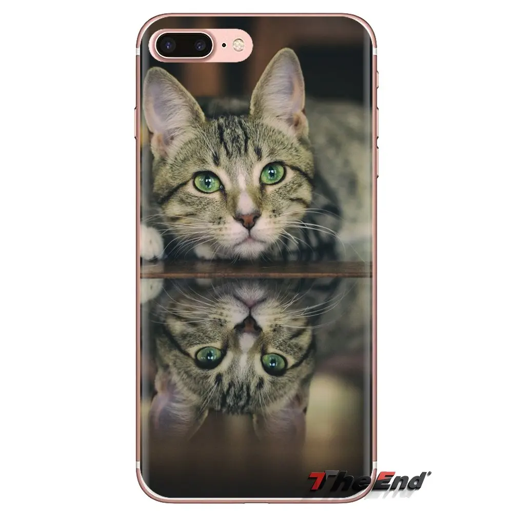 Cat wear grandmother's glasses For Samsung Galaxy J1 J2 J3 J4 J5 J6 J7 J8 Plus 2018 Prime 2015 2016 2017 Transparent TPU Housing |