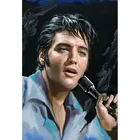 Полный квадратный круглый камень дрель 5D DIY Алмазная картина 