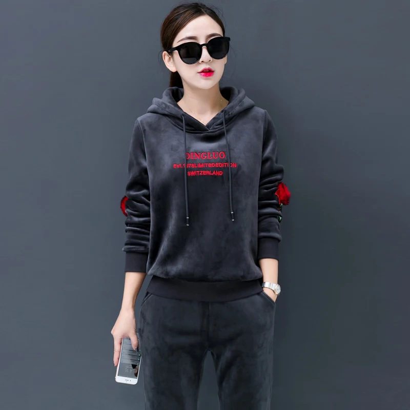 

New winter two-piece casual velvet suits thick loose pleuche hoodies pants korean fashion hood pullover outfit lady top clothes