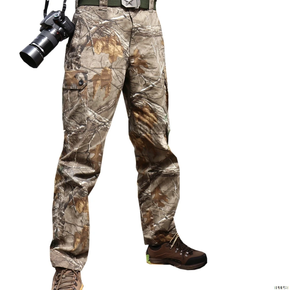 Уличные спортивные и повседневные Путешествия Альпинизм птица фотографии