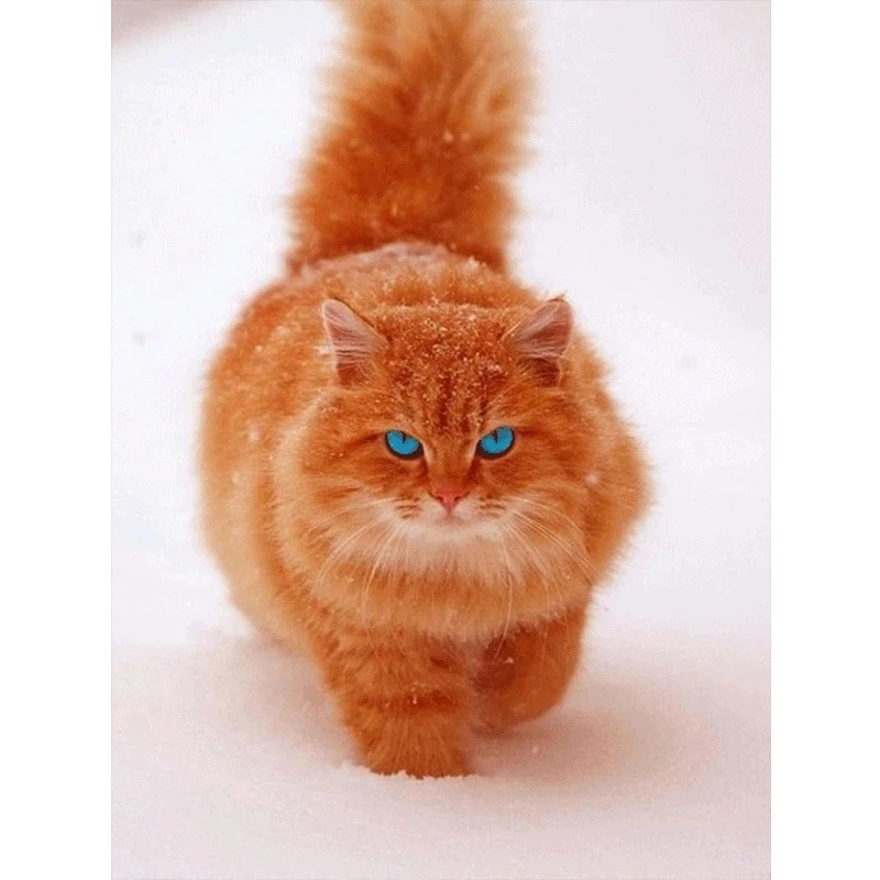 Алмазная живопись 5D сделай сам вышивки крестом Набор Алмазные Вышивка Оранжевый