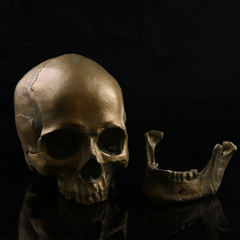 

Halloween Items Home Decorations Medicine Teaching Resin Skulls New Hot Products Bronze Skulls