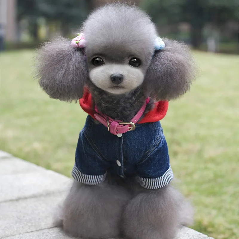 Зимние теплые маленькая собака джинсовое пальто jacketdog щенок комбинезон с