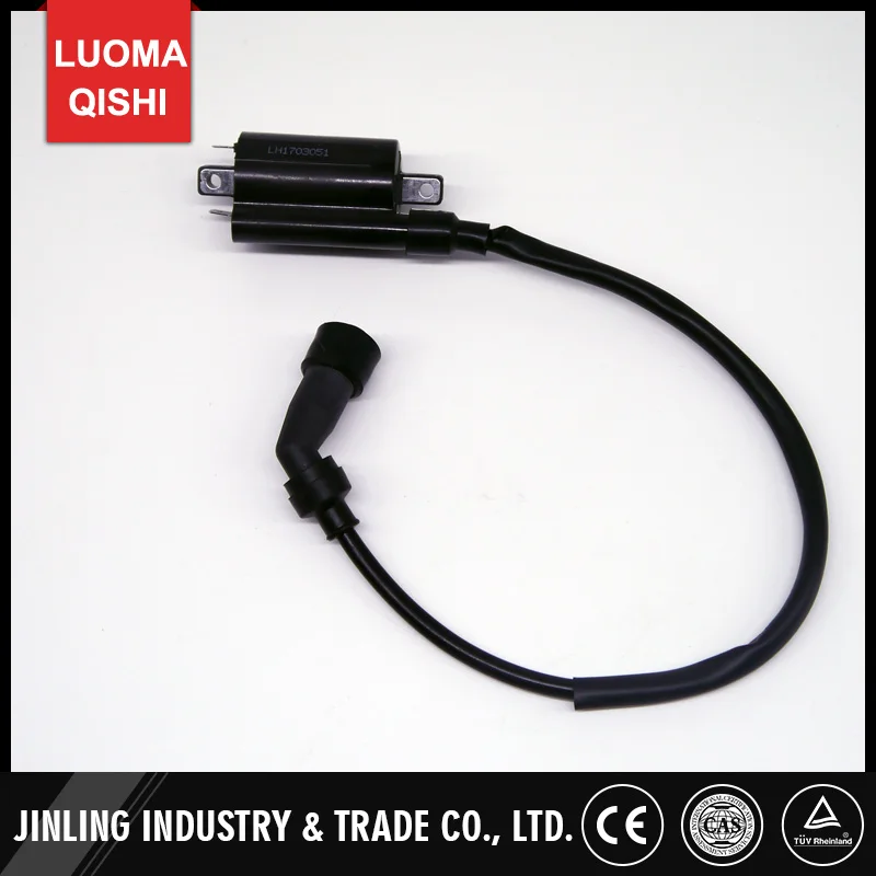 300CC катушка зажигания ATV Jinling 300cc части EEC JLA 925E 931E для двигателя JL1P73MN ***|atv jinling|ignition