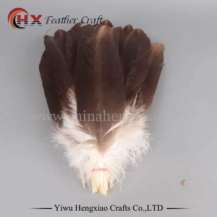 Оптовая продажа Высококачественная Сова орел перо различных декоративных diy