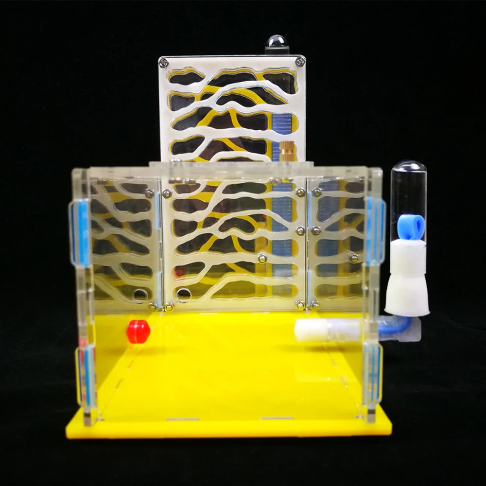Т-образная акриловая зона кормления сделай сам Ферма для насекомых вилла мания