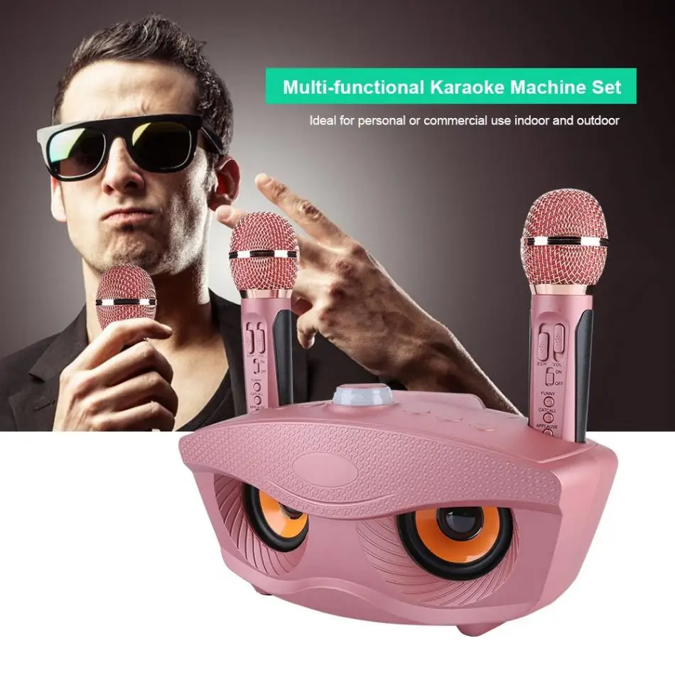 Karaoke Home System Wireless Bluetooth Speaker Machine Home 2 Karaoke Mircophones FM Radio Rose Gold Support TF Card and U Disk