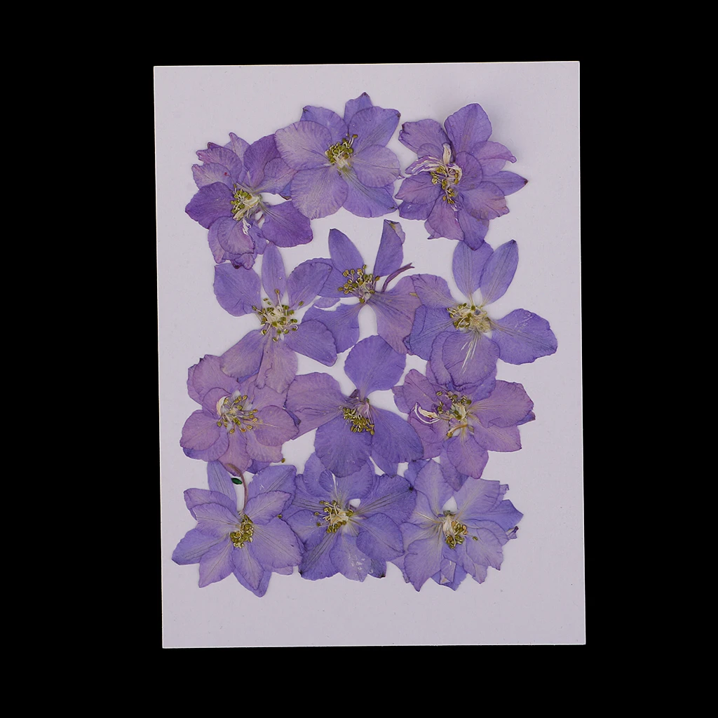 12 шт. прессованный высушенный реальным цветкам Larkspur для Закладка книги