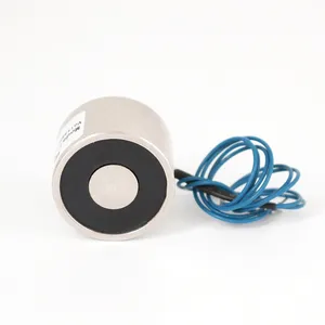 Электромагнит на присоске, 10 кг, 3022 В постоянного тока, 6 В, 24 В, 12 В