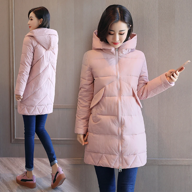 Brieuces Winter Coat Women 2018 New Wadded Jacket Solid Color Hooded Thick Warm Parkas Cotton Padded Outwear | Женская одежда