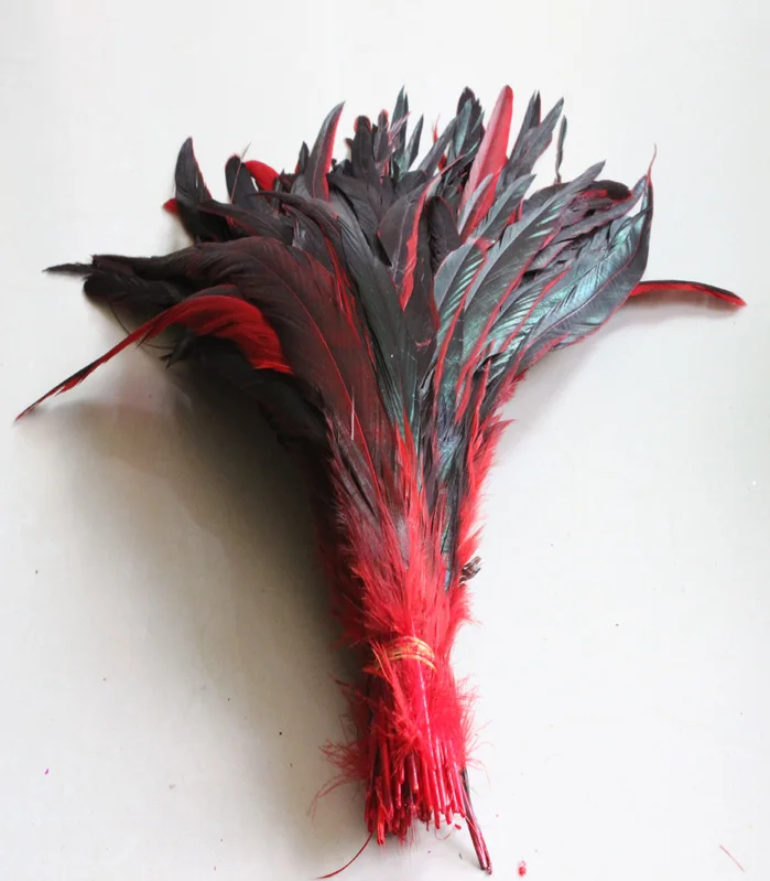 

Manufacturers selling 100 PCS beautifu red rooster tail feathers 12-14 inches /30-35 cm