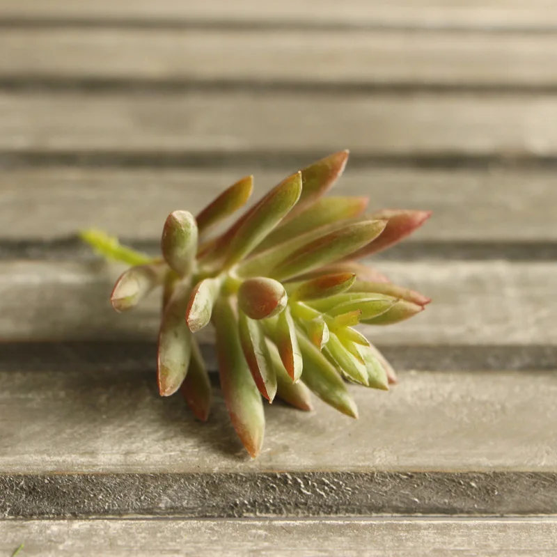 Искусственные цветы растения лотоса реальные на ощупь искусственные