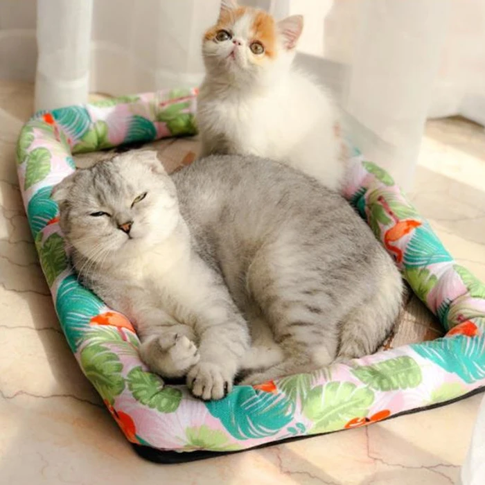 Летние дышащие прохладные коврики для домашних животных кошек собак ледяного