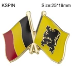 МужскаяЖенская Брошь в виде флага дружбы