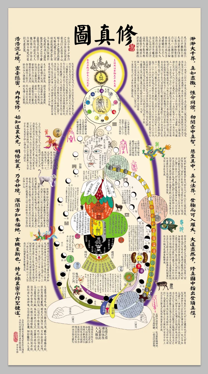 Xiuzhen Tu Chinese Tao Taoism Hsiu Chen диаграмма человеческого тела единственный векторный