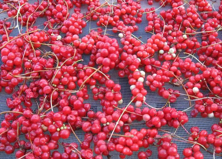 500 г органический сушеный чай Schisandra Chinensis Wu Wei Zi с пятью ароматами ягодных трав wuweizi, травяной чай для здоровья