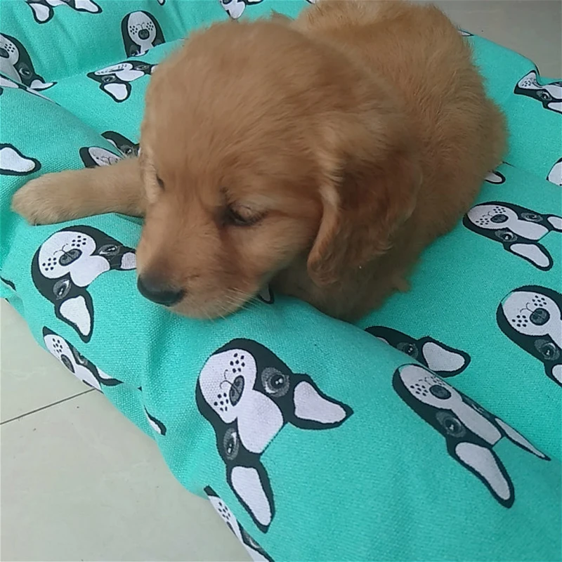 2021 Зима Pet Одеяло милые карамельного цвета Теплый сна коврики твердые кровати Pad