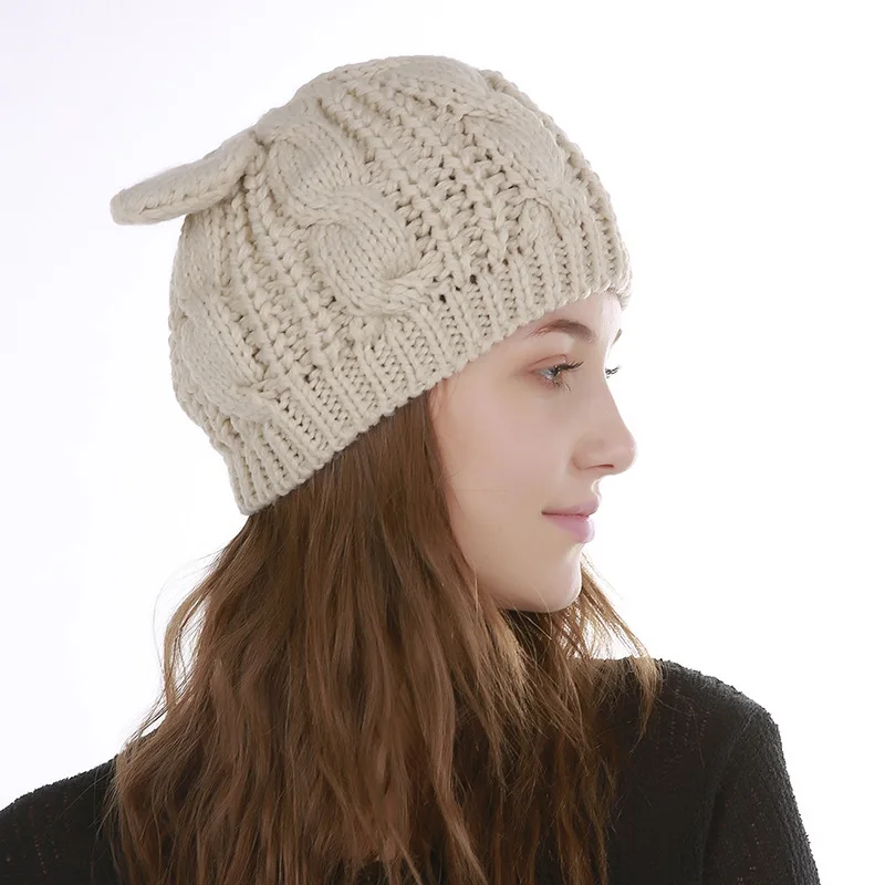 Skullies Beanies шапки женские зимние теплые от известного бренда Beanie 2018 модная
