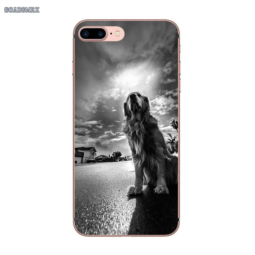 For Huawei P Smart P8 P9 P10 Lite Y6 Y7 Y9 Prime Pro 2017 2018 2019 Transparent TPU Case Covers Golden Retriever Lovely Puppy | Мобильные