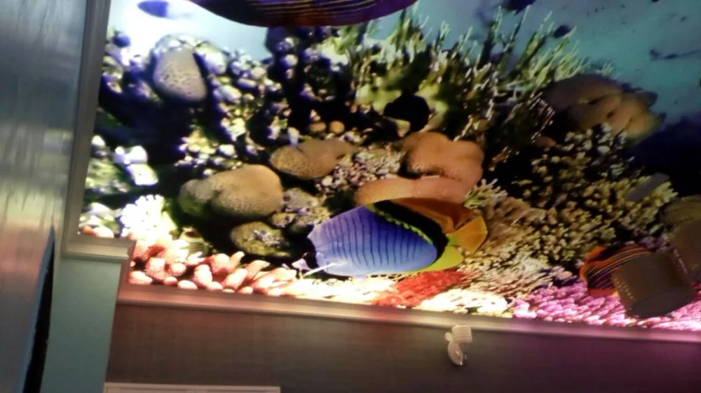 Подводная Красивая потолочная 3d пленка с люстрой в середине/стрейчевая для