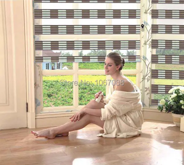 Оптовая/розничная продажа новинка индивидуальные прозрачные шторы Зебра