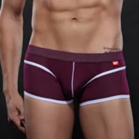 4003 PJ purple Ванцзян Гей Мужские трусы боксеры шорты Для мужчин s Нижнее белье Боксеры строка Homme Для мужчин s сексуальное нижнее белье нейлон пикантные Homme Cuecas 4003 PJ - Цвет: 4003 PJ purple