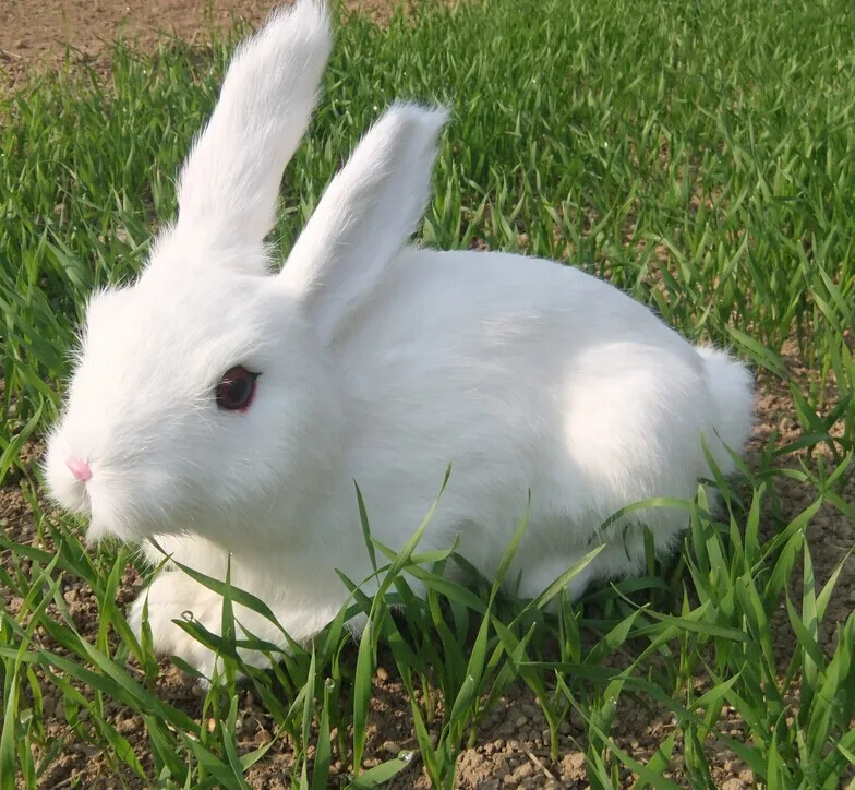 Большая имитационная игрушка белый кролик полиэтилен и мех прекрасный кролик модель подарок около 34x25 см y0130