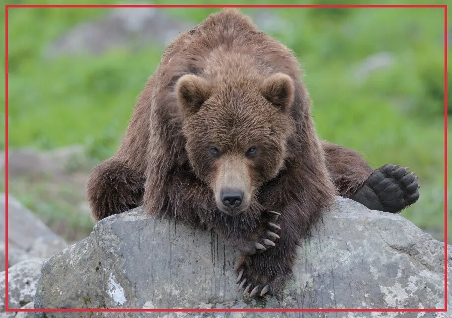 Декоративная забавная магниты 78*54 мм медведь на холодильник 20197 подарок для