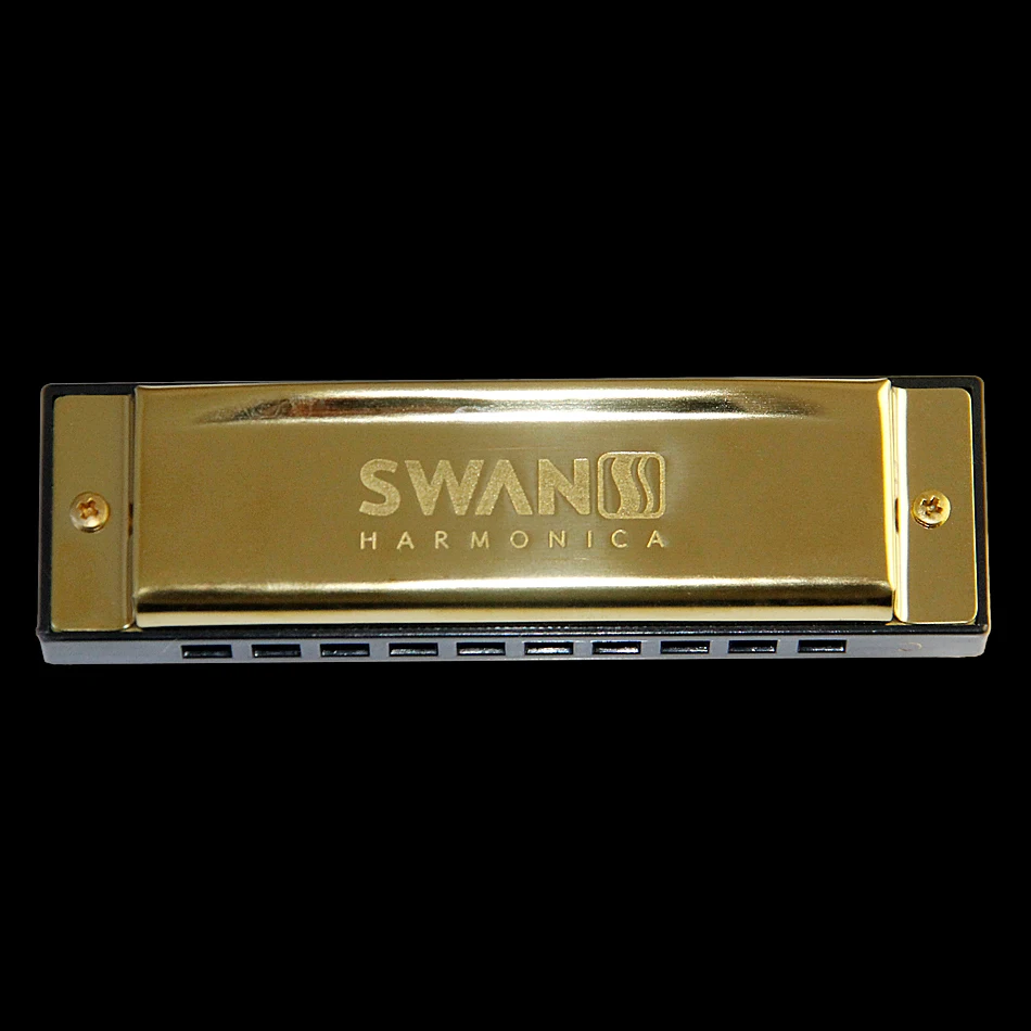 Diatonic Blues Harmonica / 10 Hole with 20 Tone Brass Reed Harmonicon C key Mouth Organ | Спорт и развлечения