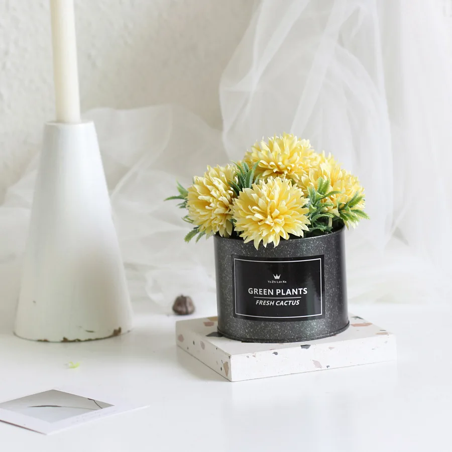 Промо акция! Радужная Маргаритка сад Хризантема смесь бонсай Флер Планте Naturelle