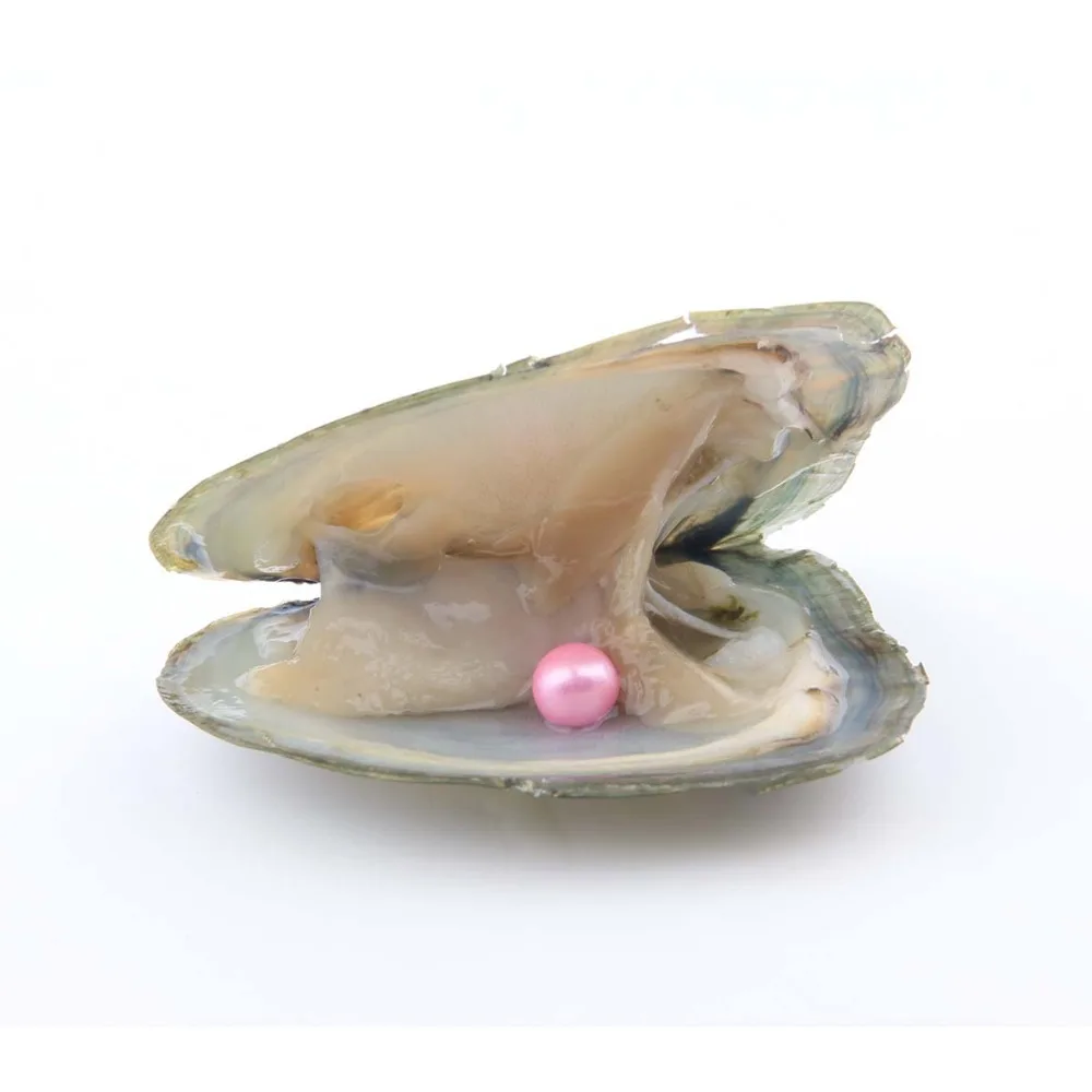 10 шт./партия жемчуг Oyster Пресноводный Культивированный летний цвет Love Wish жемчуг Oyster с 7-8 мм круглый жемчуг внутри цвет