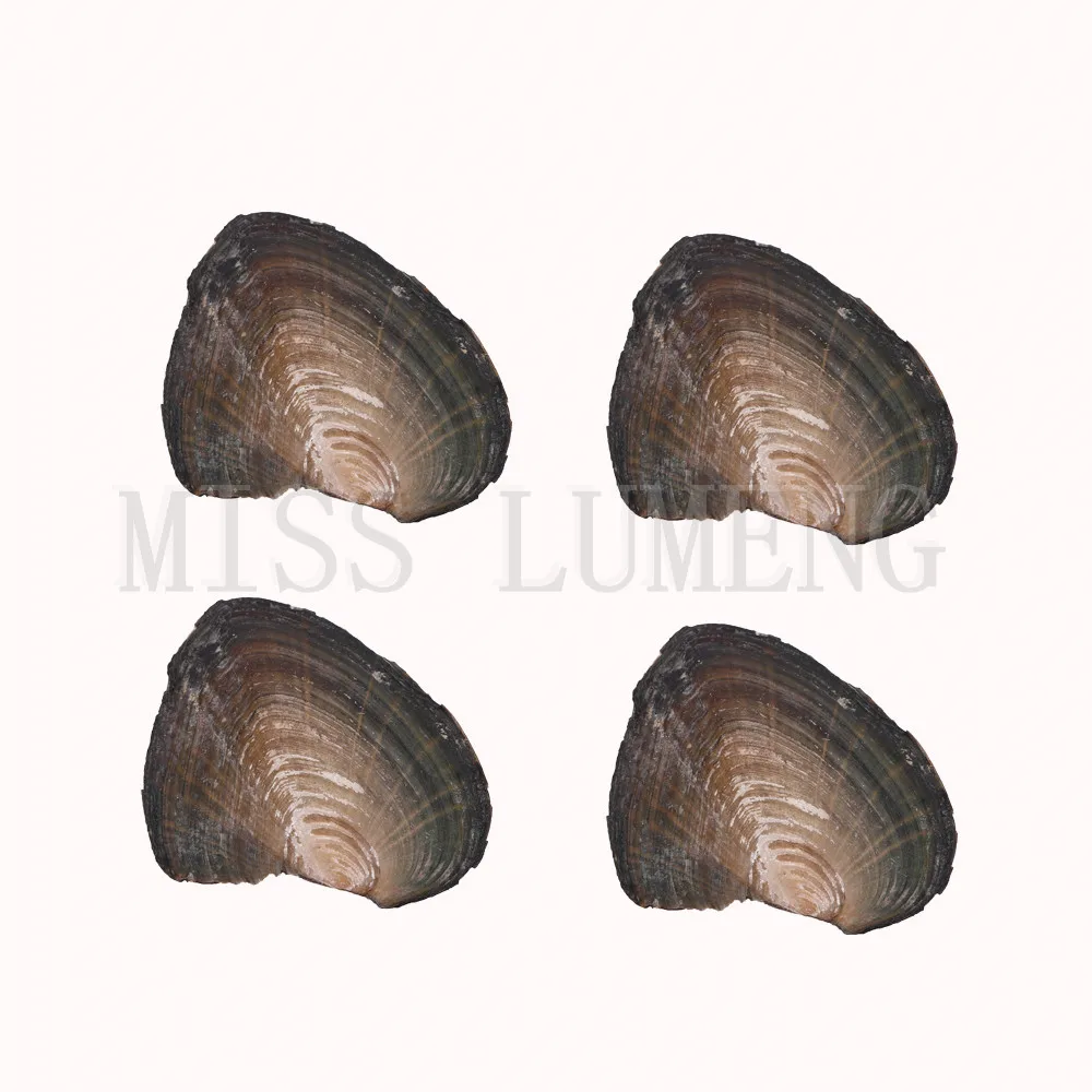 MISS LUMENG 8-10mm 50pcs Fashion Akoya Oyster with Rice Pearls 12 colors in Pearl DIY Birthday Gifts | Украшения и аксессуары