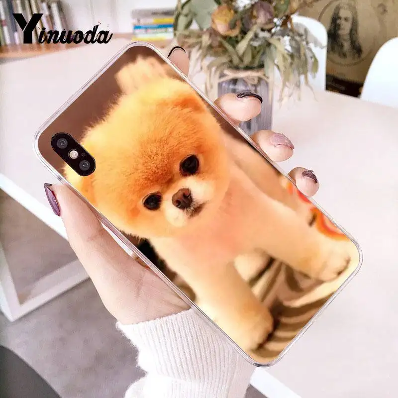 8 Yinuoda Pomeranian dogs Красочный милый чехол для телефона для iPhone 8 7 6 6S Plus X 10 5 5S SE XR XS XSMAX11 11pro 11promax - Цвет: 8