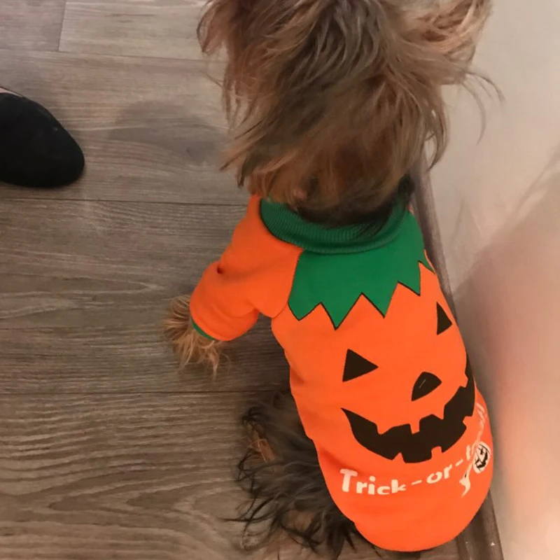 Зимняя теплая одежда для маленьких собак Забавный костюм на Хэллоуин щенков и