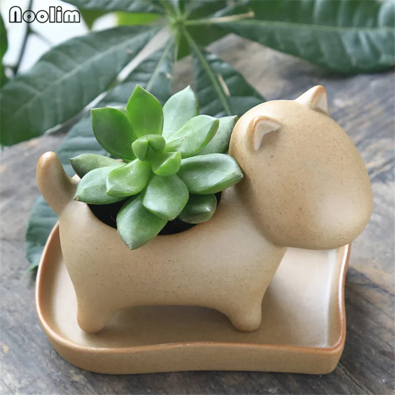 NOOLIM ZAKKA керамика горшки для суккулентов милый мультфильм Животные шаблон горшки офис украшение стола украшения