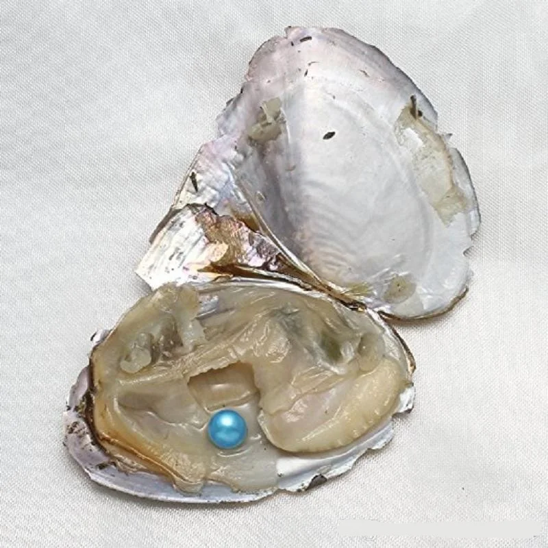 Круглые жемчужины Oyster новинка 2019 6 8 мм смешанные цвета натуральный жемчуг для
