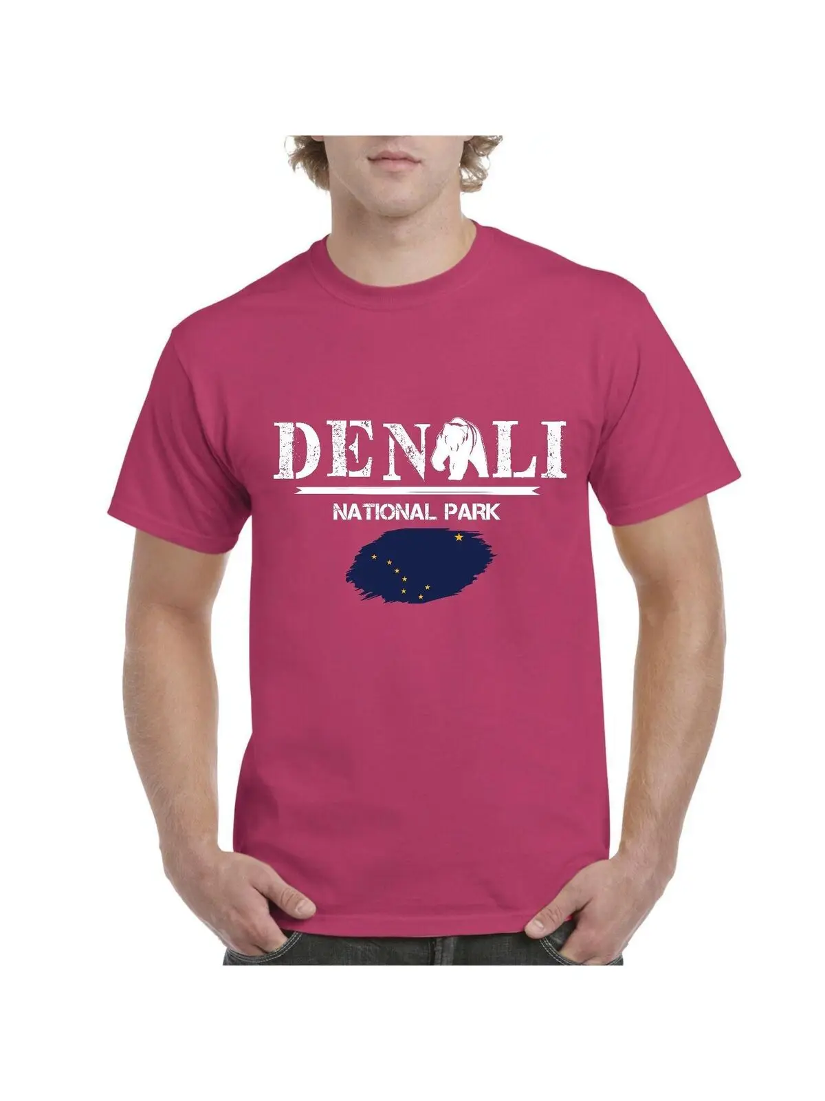 Мужские рубашки Denali National Park Alaska|Мужские футболки| |