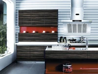 acrylic kitchen cabinetlh ha003