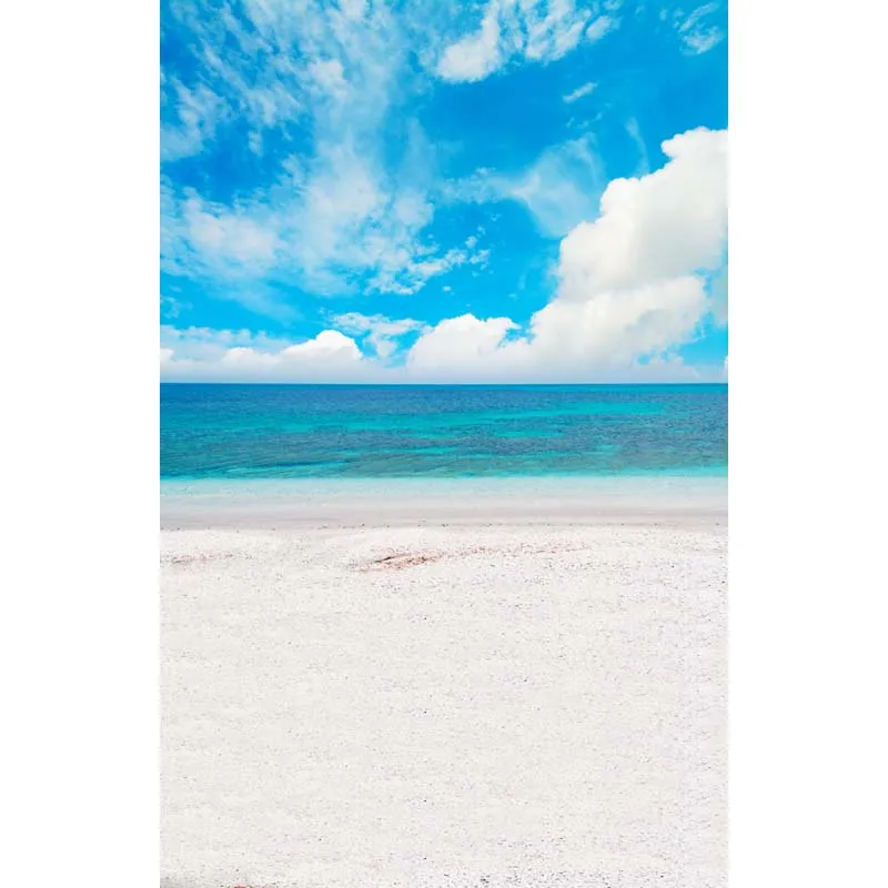 

Thin Vinyl seaside beach backdrop for photo studio outdoor background backdrops F-2635