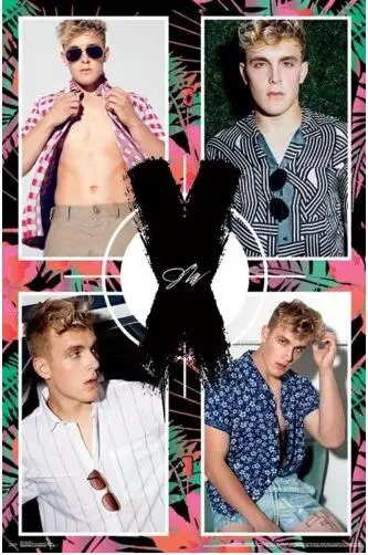 Джейк пол фото коллаж Шелковый постер декоративная стена краска 24x36