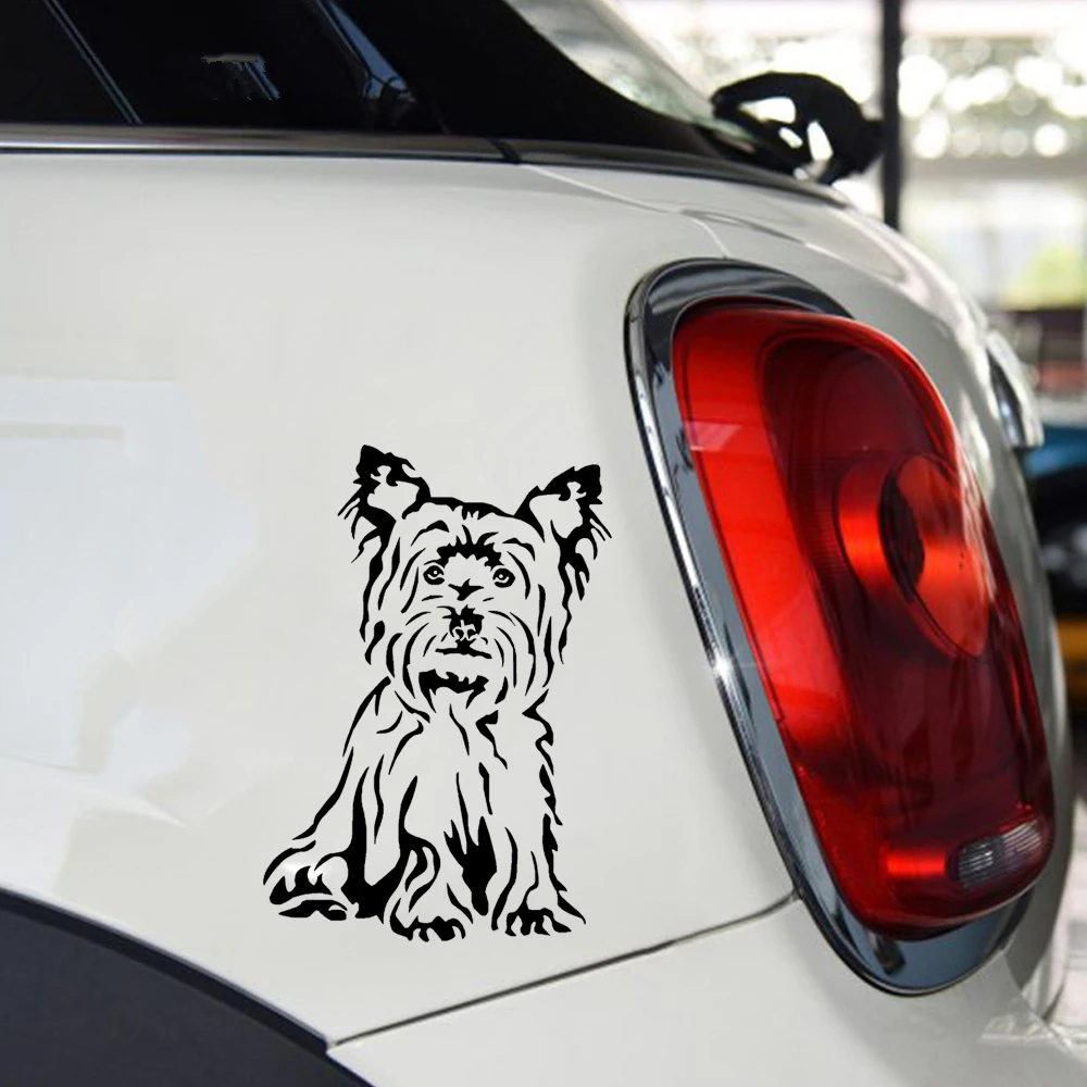 Виниловая наклейка на окно автомобиля 20 х14 см | Автомобильные наклейки