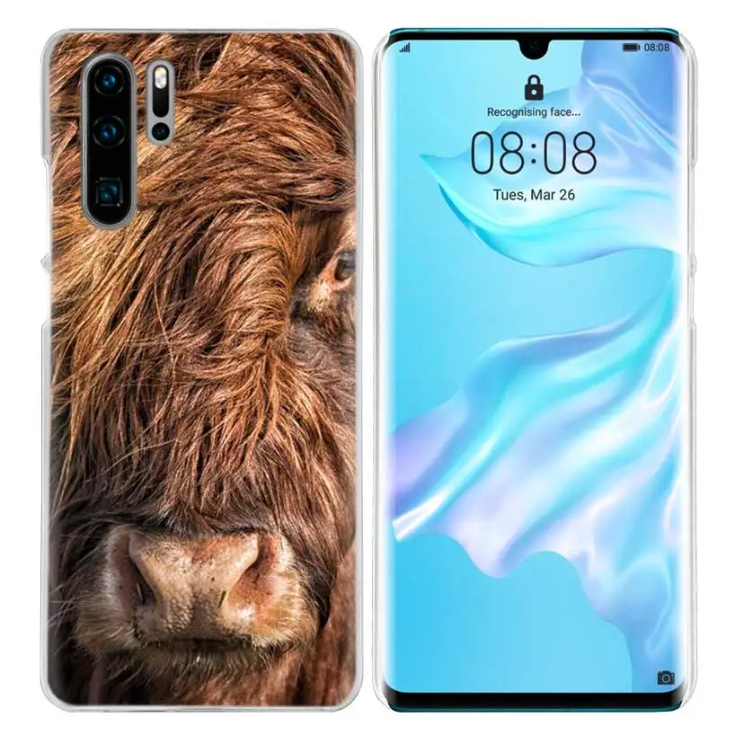 Чехол для huawei P20 P30 P Smart Nova 4 3i P10 P9 P8 mate 10 20 lite Pro Mini