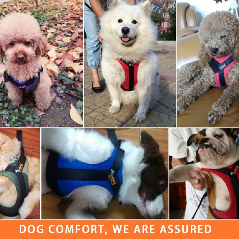 Высокое качество удобная скатерть жилет для животных ошейник Профессиональный