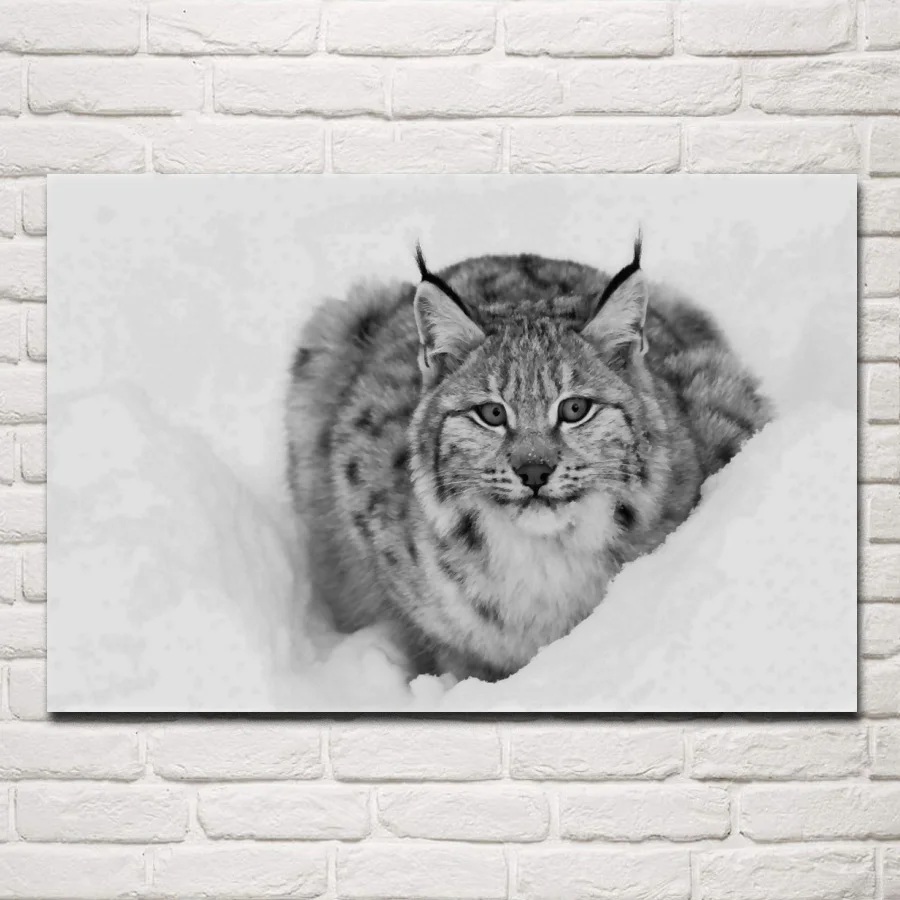Lynx cat animal winter snow wild nature posters on the wall picture home living room decoration for bedroom DW145 | Дом и сад