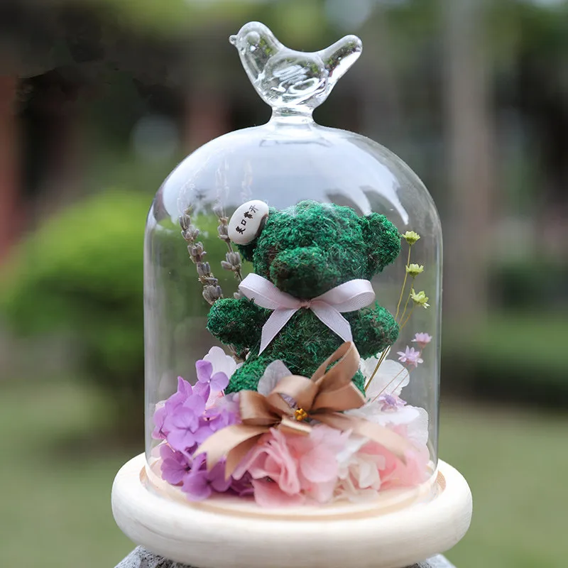 Стеклянная крышка колокол для купола птицы прозрачный контейнер террариума