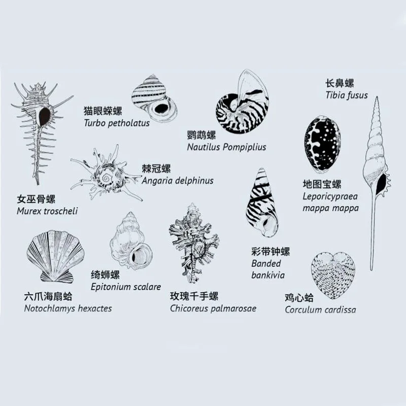 Бесплатная доставка (1 коробка/набор) ручная резная резиновая оболочка печать