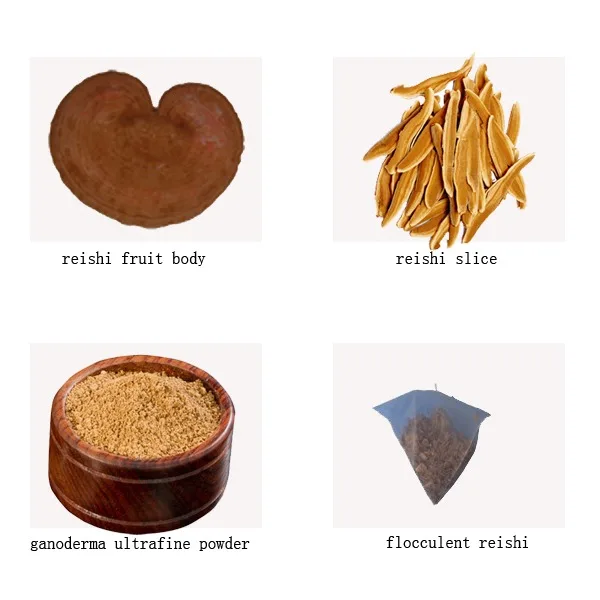 Free Shipping Organic lingzhi mushroom powder |