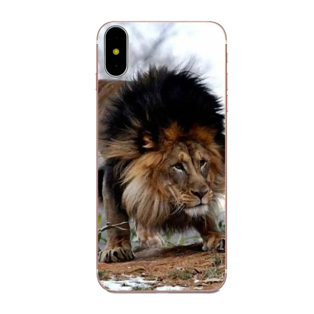 Новый Модный чехол с милыми животными для телефона Xiaomi Redmi Mi Note 7 8 9 SE Pro Lite Go