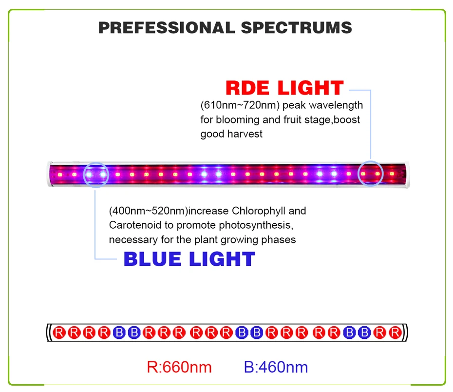 RAYWAY светодиодный T5 трубка SMD2835 Phytolamp высокое Яркость светодиодный Grow Lights для растений 5 Вт 18Red 6 синий Фито рассады Цветочные лампы